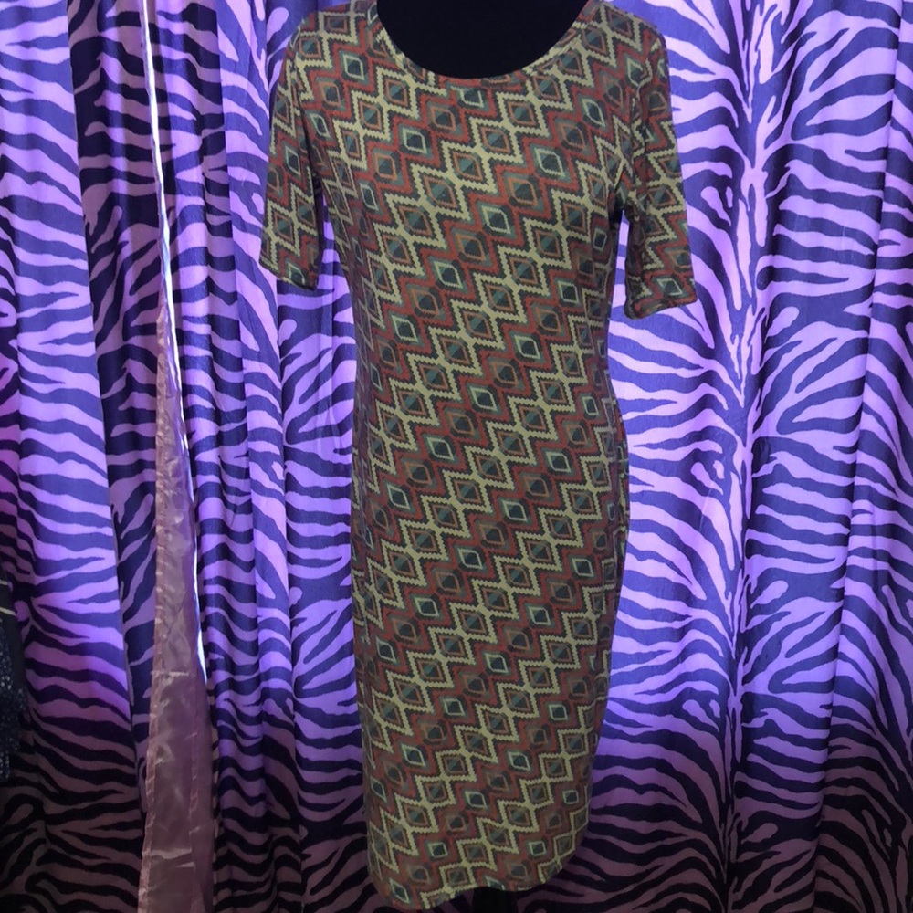 🌸LuLaRoe Julia